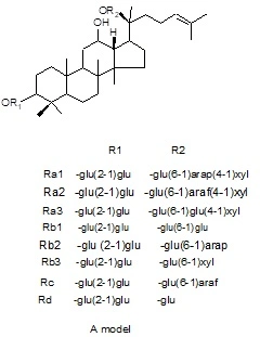 Ginseng Root Extract with Immune-Enhancing Effects Used in Functional Food