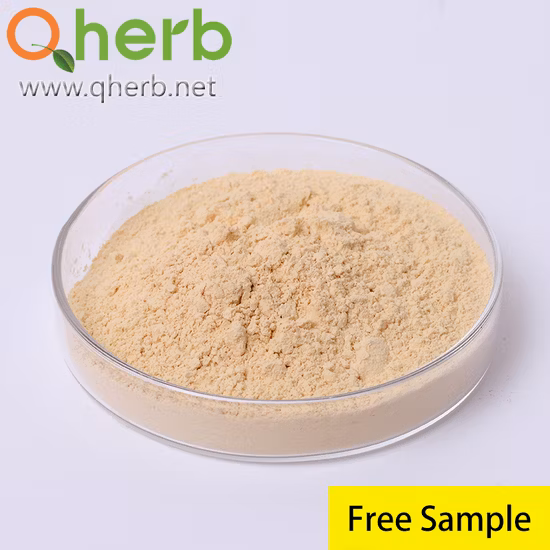 시베리아 인삼 PE 10 1 CAS 90045